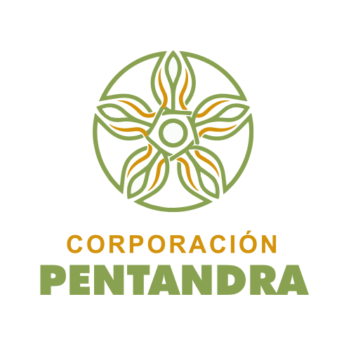 Pentandra Corporation logo