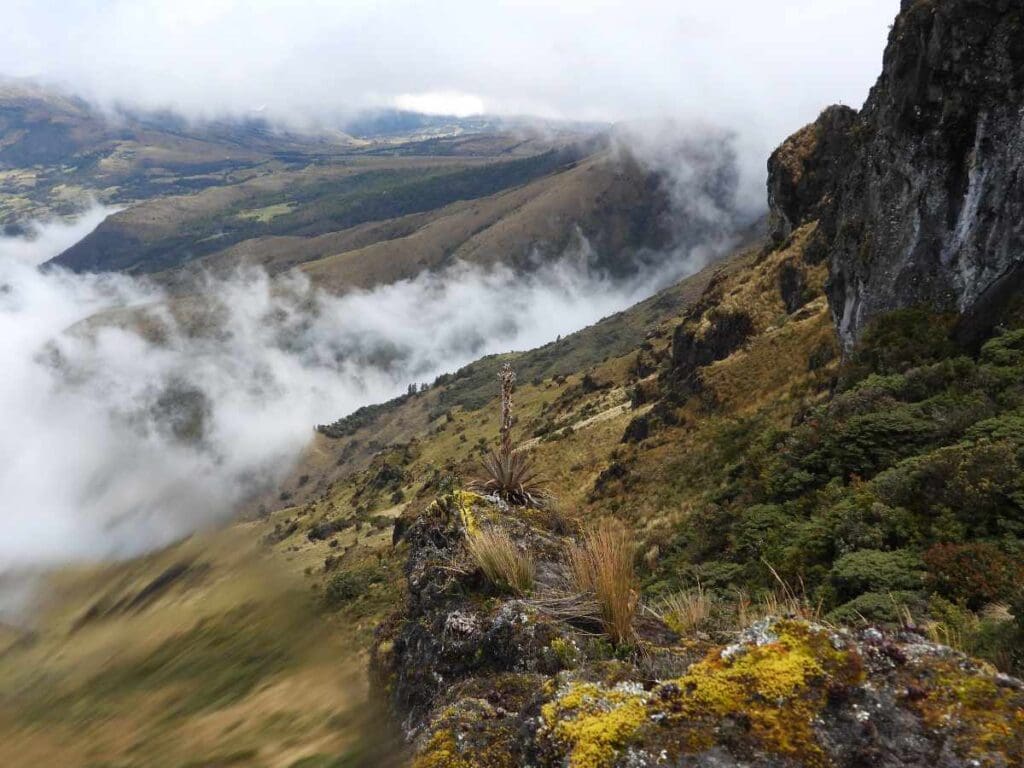 The paramo landscape of Cerro de Arcos, a reserve in Southern Ecuador, includes grass covered slopes and low lying clouds creeping up from ravines.