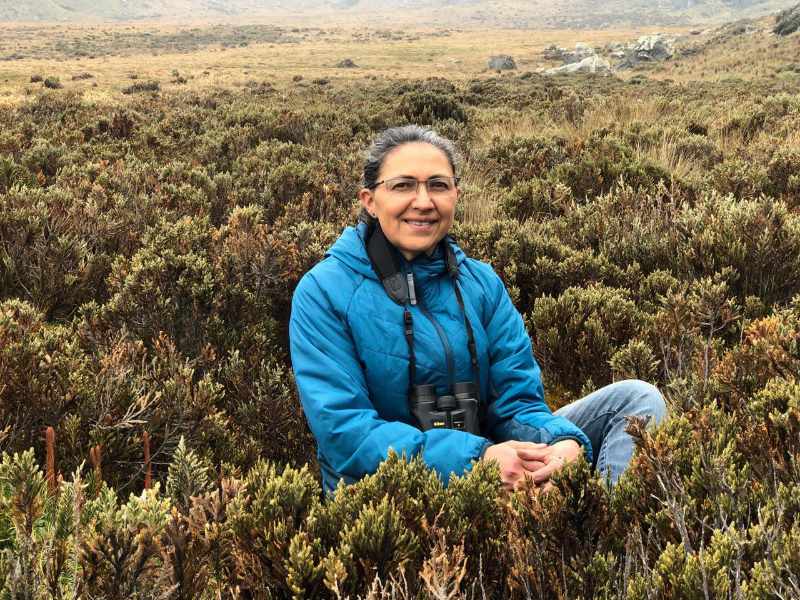 Rocío Merino Utreras sitting among low shrubs in an Andean páramo.